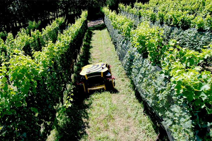 Einsatzmöglichkeiten - in Weinbergen Einsatzmöglichkeiten - in Weinbergen