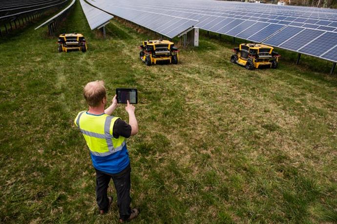 Das Bild zeigt eine Person, die mithilfe eines Tablets mehrere autonome Mähroboter im Solarpark überwacht, während diese das Gras zwischen den Solarmodulen mähen. Das Bild zeigt eine Person, die mithilfe eines Tablets mehrere autonome Mähroboter im Solarpark überwacht, während diese das Gras zwischen den Solarmodulen mähen.
