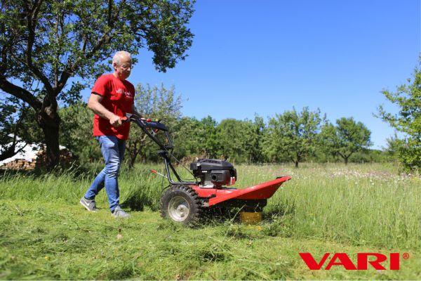 Ein Mann mit rotem T-Shirt mäht mit einem Vari Gestrüppmäher hohes Gras. Im Vordergrund des Bildes sieht man das gemähte Gras. Im Hintergrund eine Obstwiese mit hohem Gras, dass noch gemäht werden muss. Ein Mann mit rotem T-Shirt mäht mit einem Vari Gestrüppmäher hohes Gras. Im Vordergrund des Bildes sieht man das gemähte Gras. Im Hintergrund eine Obstwiese mit hohem Gras, dass noch gemäht werden muss.